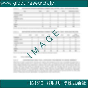 グローバルリサーチ調査資料のイメージ